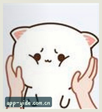 陈泽